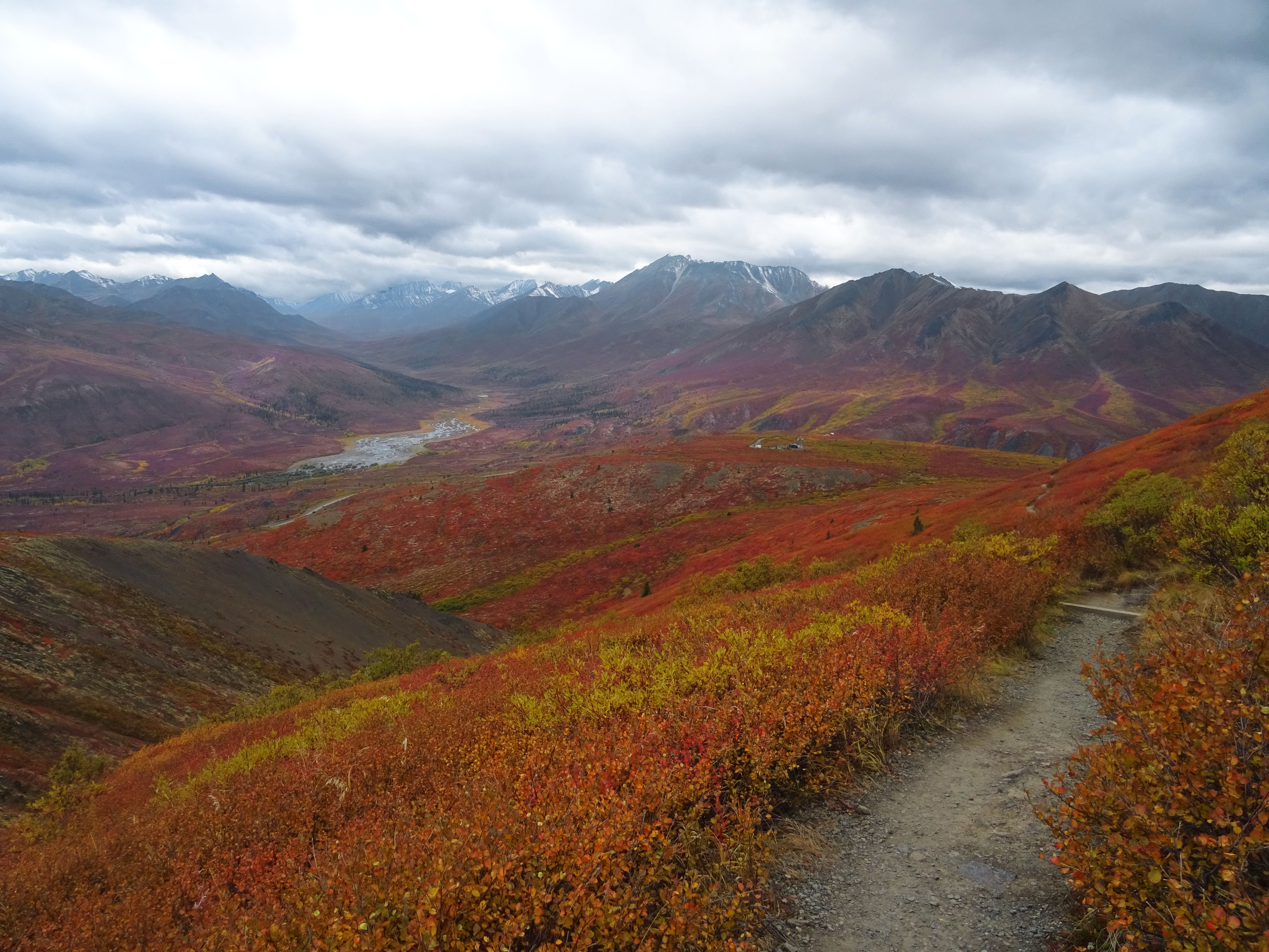 Randonnée automne parc territorial de Tombstone, Yukon, Dempster Highway