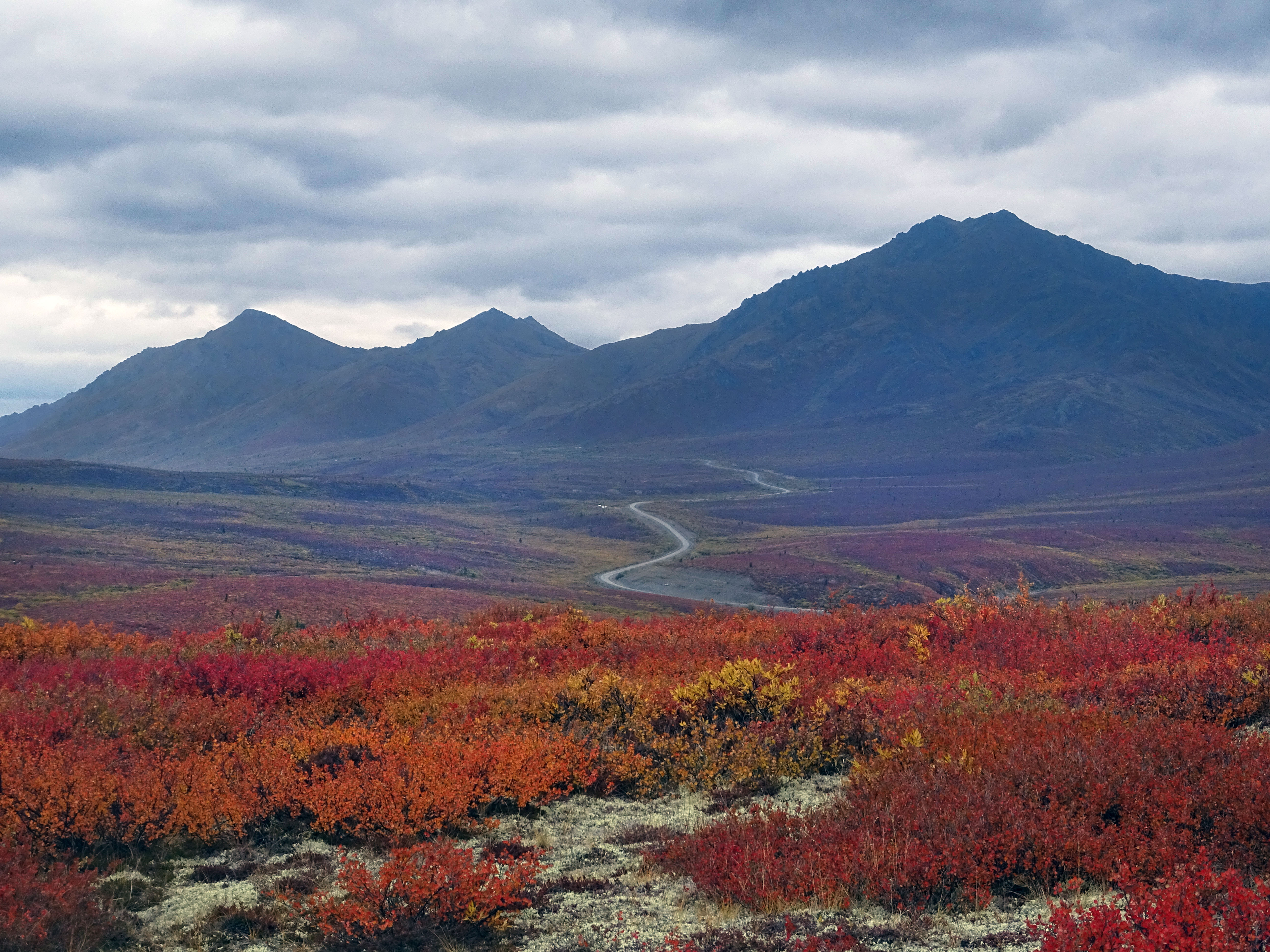L'automne au parc territorial de Tombstone, Yukon, Canada