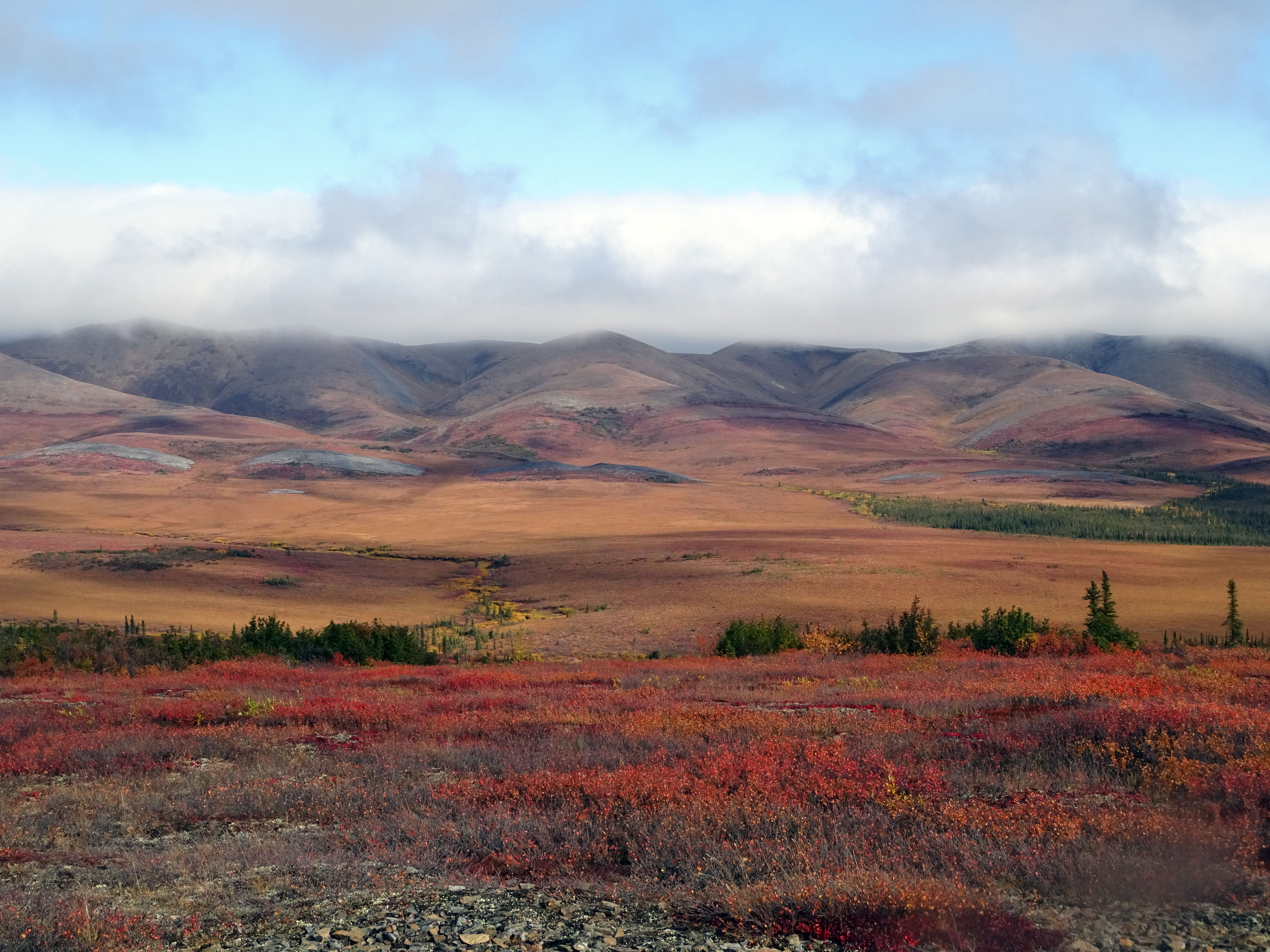 Cercle arctique, Dempster Highway, Yukon en automne